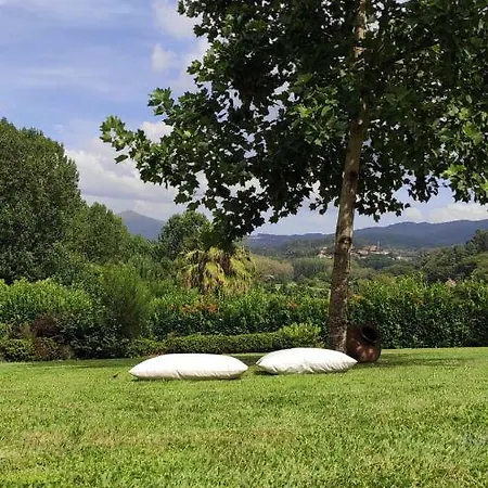 Quinta Da Vinha Do Souto Villa Arouca Exterior photo