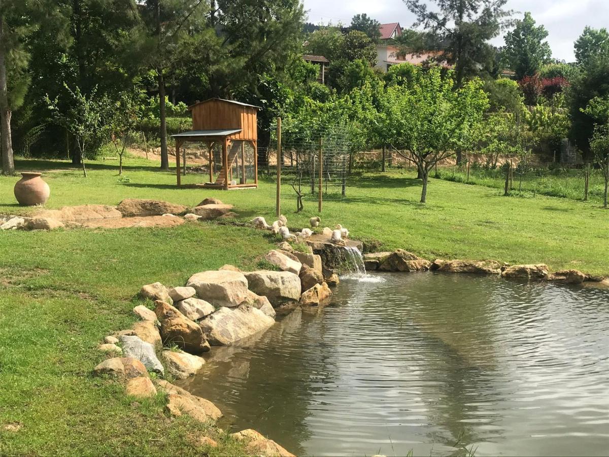 Holiday home Quinta Da Vinha Do Souto