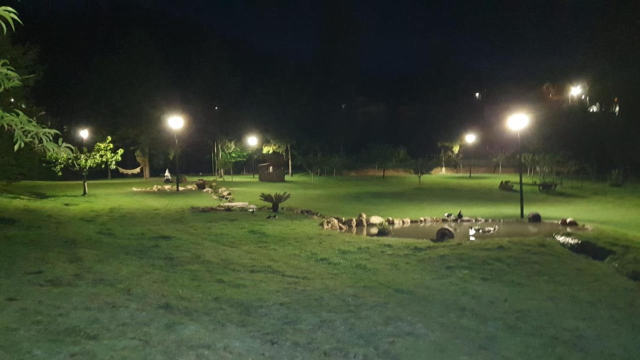Quinta Da Vinha Do Souto *
