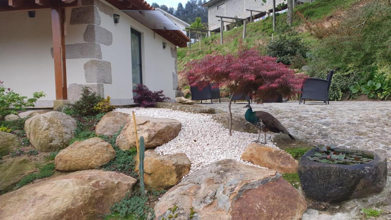 Quinta Da Vinha Do Souto * Arouca