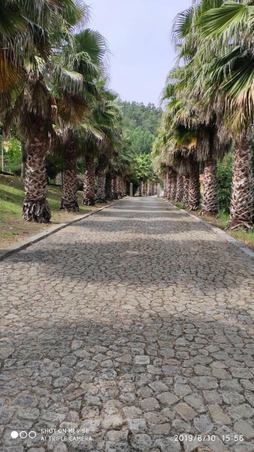 Quinta Da Vinha Do Souto Holiday home Arouca