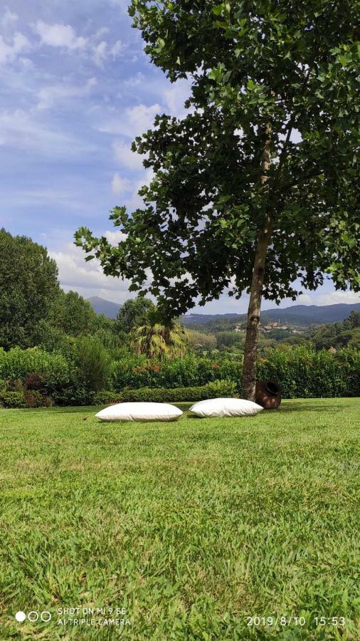 Quinta Da Vinha Do Souto * Arouca