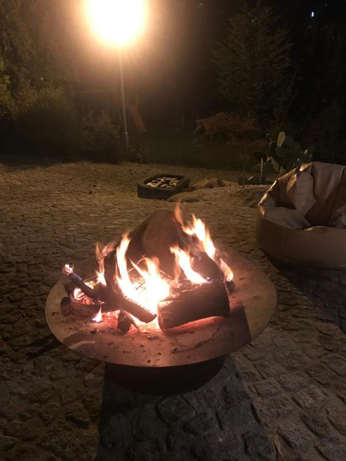 Quinta Da Vinha Do Souto Holiday home Arouca
